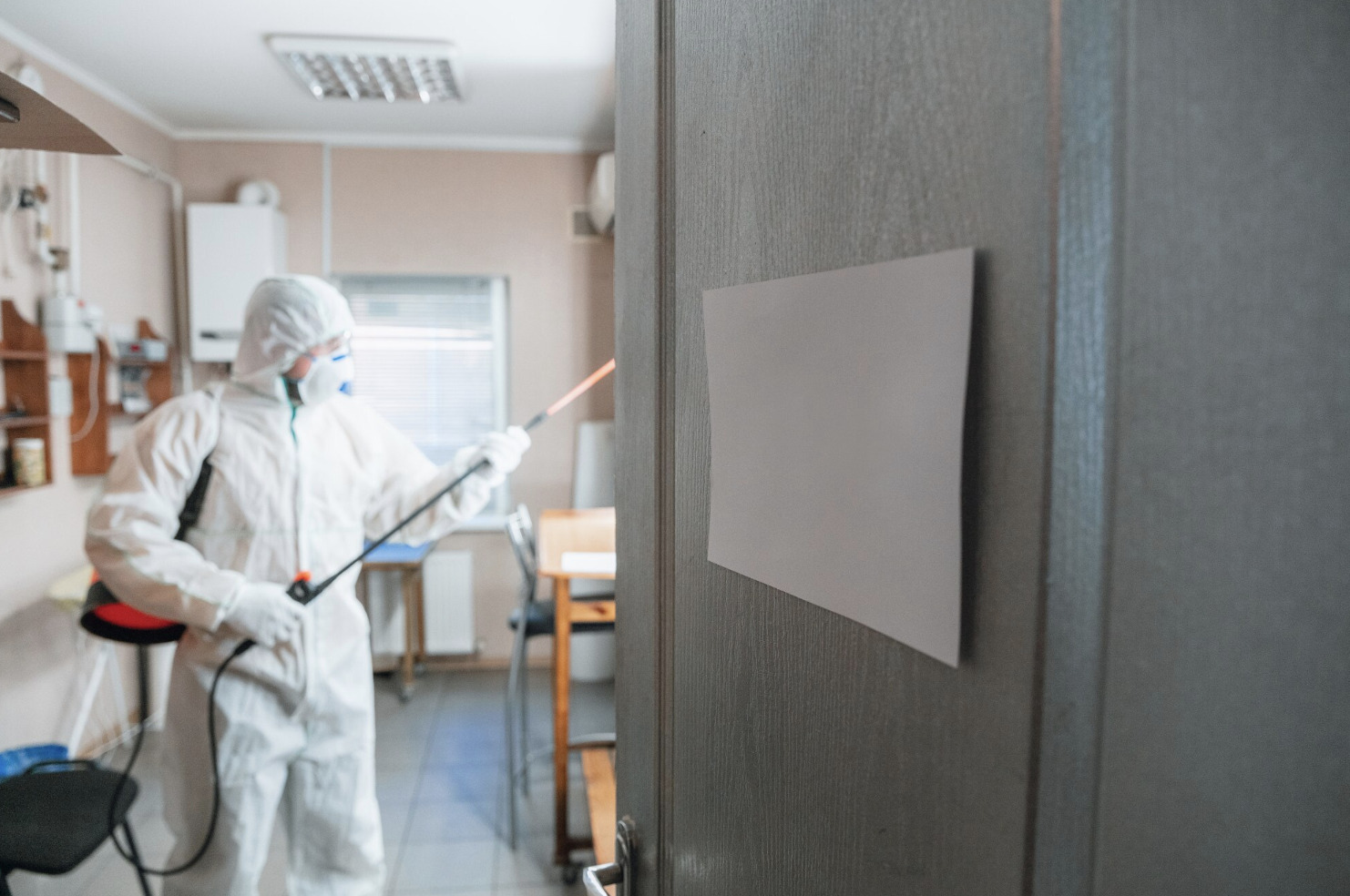 How a Pest Control Company Can Keep Your Home Safe from Pests in Boca Raton